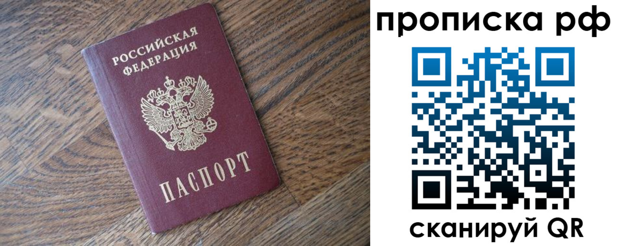прописка поиск в Болотном